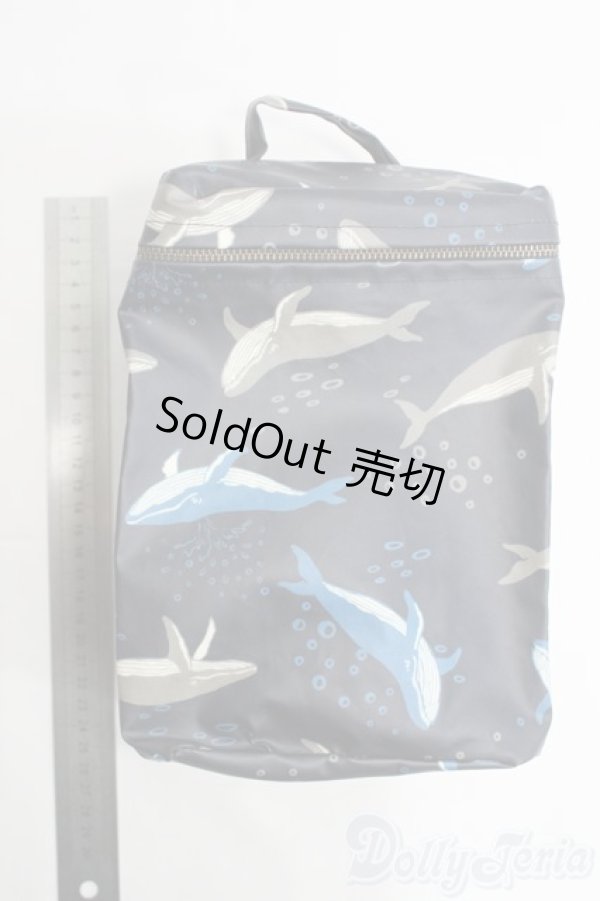 画像2: 20cmドール/キャリーバッグ I-25-06-22-2060-TN-ZI (2)