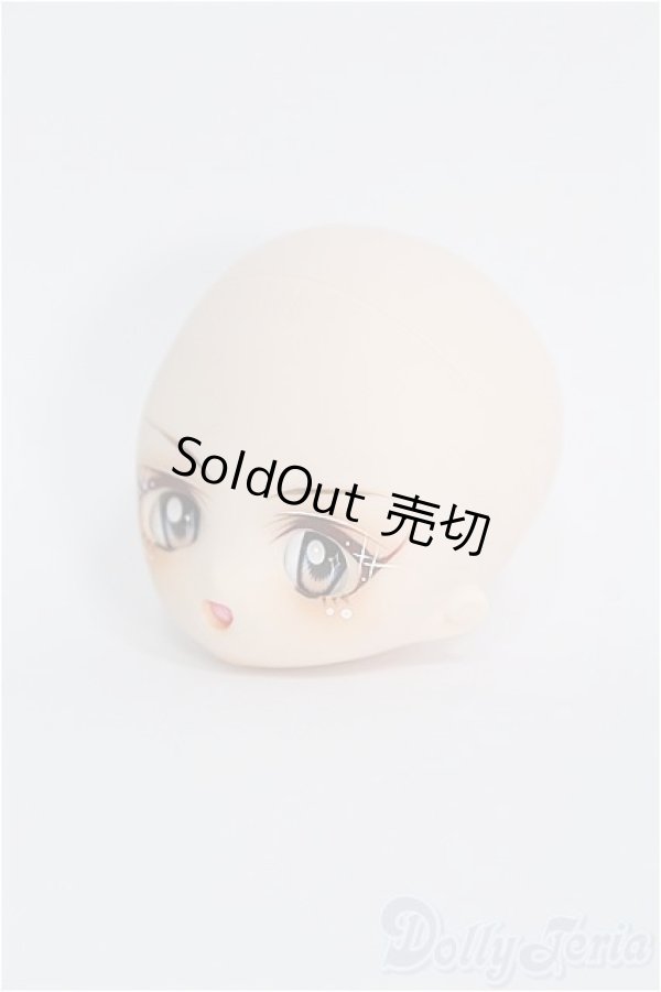 画像2: PARABOX/カスタムヘッド(PB-1104)/ I-25-10-05-360-KD-ZI (2)