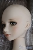 画像2: 【SALE】VISUADOLL/藤井亮：Silver Butterfly様ワンオフドール I-24-09-15-1006-TO-ZI (2)
