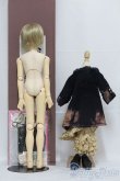 画像5: VISUADOLL/藤井亮：Silver Butterfly様ワンオフドール I-25-05-11-1003-TO-ZI (5)