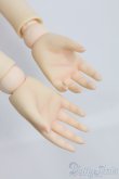 画像7: VISUADOLL/葵木空：AUCxAtri様ワンオフドール I-25-05-04-1005-TO-ZI (7)