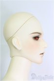 画像3: BJD CROBI/Gordon Limited I-25-03-16-1003-TO-ZI (3)
