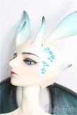 画像2: 【SALE】Dream Valley/Cayes(?伊斯) Dragon Version Fullset I-24-11-03-1004-KN-ZI (2)