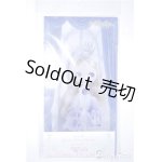 画像: 【新品】ネオブライス/チケットファイル2枚セット：ウィッシュ A-25-01-15-1038-TN-ZU