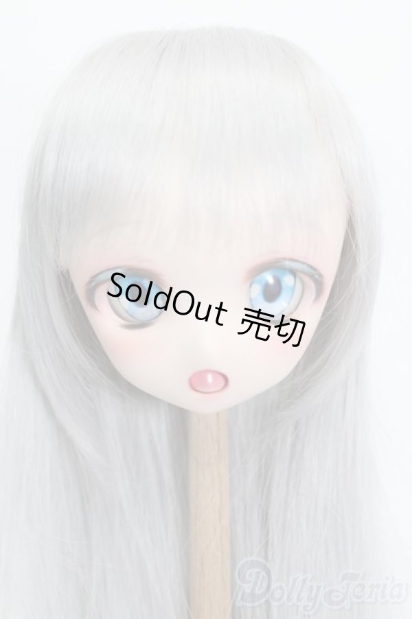 画像1: DD/DDH-27カスタムヘッド S-25-12-21-351-TO-ZS (1)