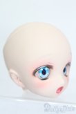 画像4: DD/DDH-27カスタムヘッド S-25-05-11-109-GN-ZS (4)
