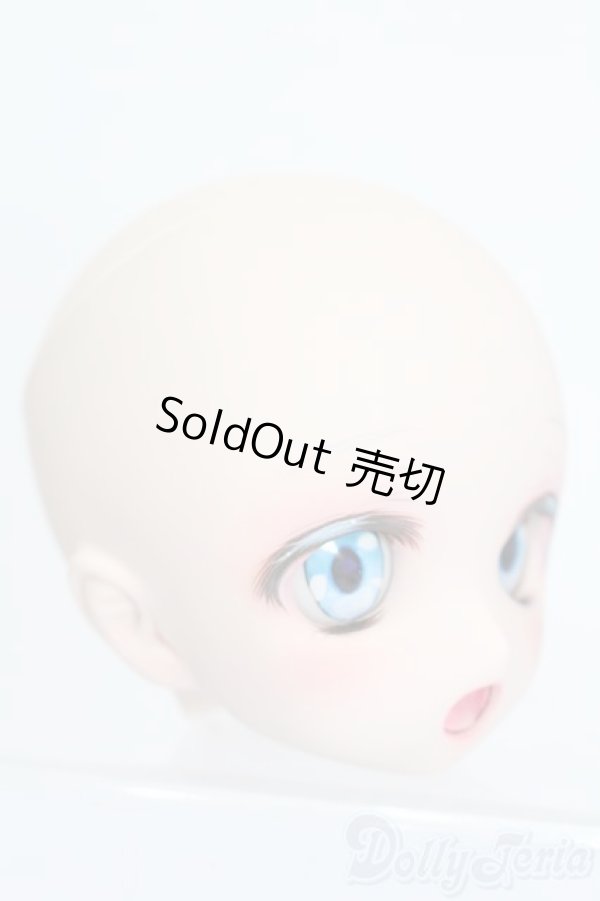 画像4: DD/DDH-27カスタムヘッド S-25-12-21-351-TO-ZS (4)