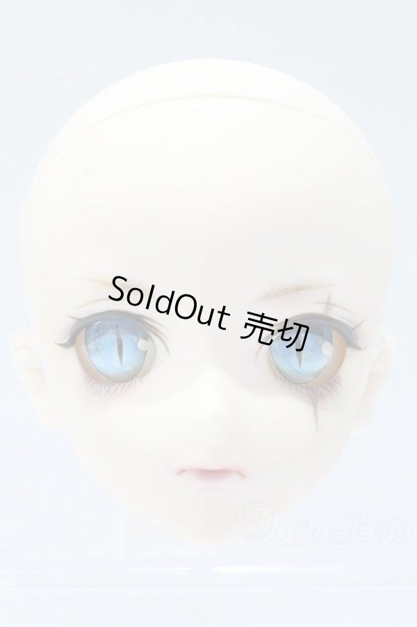 画像1: DD/DDH-09カスタムヘッド S-26-03-15-326-KN-ZS (1)