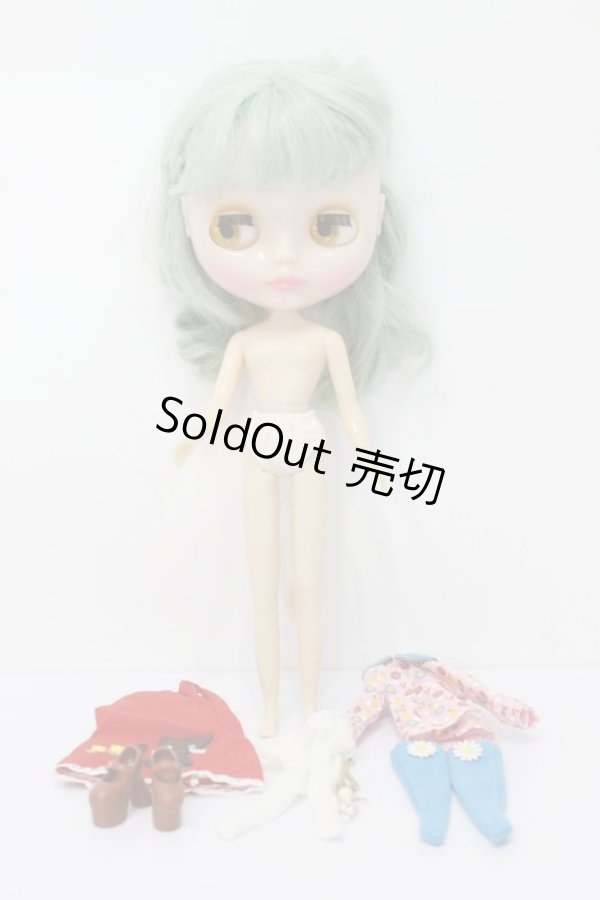 画像5: ネオブライス/ミスサリーライス本体 S-23-11-15-240-KD-ZS (5)