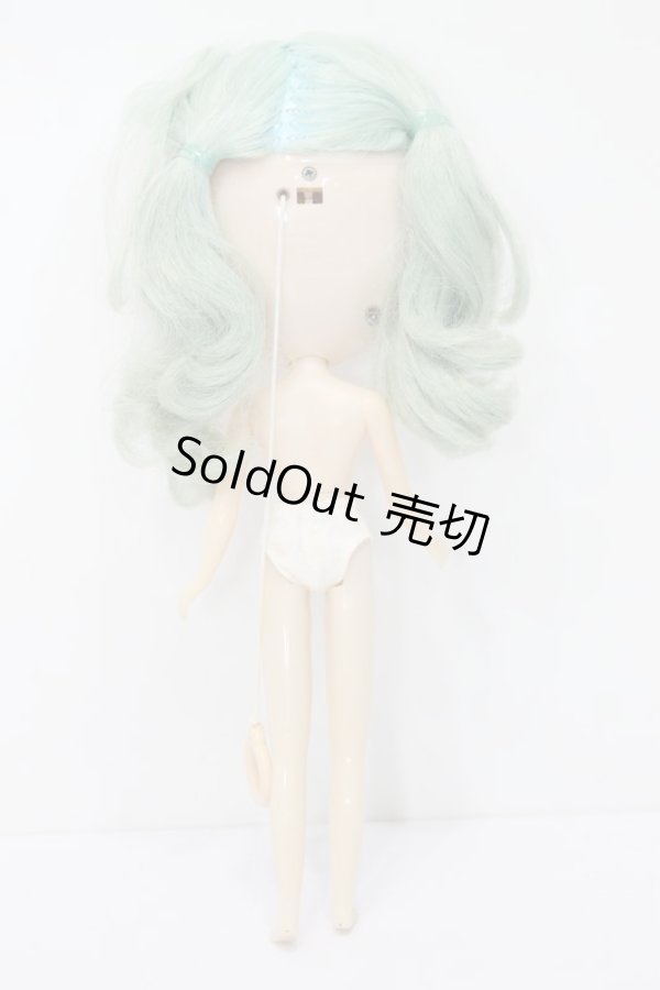 画像6: ネオブライス/ミスサリーライス本体 S-23-11-15-240-KD-ZS (6)