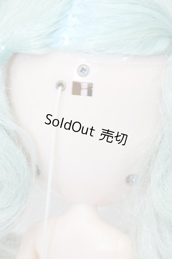 画像7: ネオブライス/ミスサリーライス本体 S-23-11-15-240-KD-ZS (7)