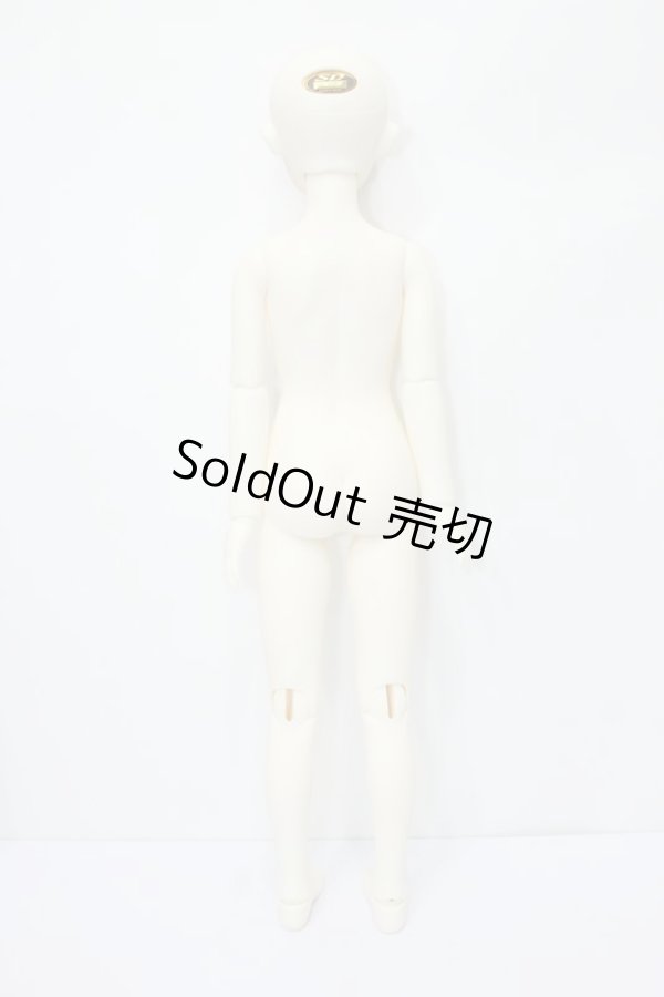 画像6: SDGIRL/リーゼロッテ the Best of the Bests Ver.2019 S-24-10-09-027-TN-ZS (6)