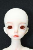 画像1: dollzone/NEIL S-24-10-06-266-TN-ZS (1)