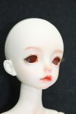 画像2: dollzone/NEIL S-24-10-06-266-TN-ZS (2)