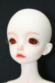 画像3: dollzone/NEIL S-24-10-06-266-TN-ZS (3)