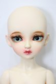 画像1: bunny bunny／Maple C Doll／35cm ノーマルスキン S-24-02-11-269-NY-ZS (1)