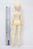 画像7: bunny bunny／Maple C Doll／35cm ノーマルスキン S-24-02-11-269-NY-ZS (7)