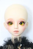 画像1: spirit doll/Laurel S-23-10-25-345-TN-ZS (1)