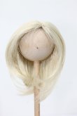 画像1: ウィッグ/7-8inch S-25-03-04-357-TN-ZS (1)
