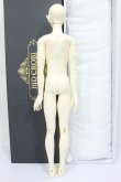 画像5: BJD　CROBI /R-Line：Lance　 Vampire　limited S-24-10-06-226-GN-ZS (5)