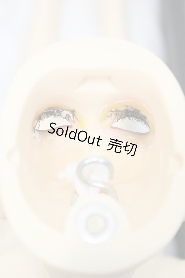 画像8: SDGr/支倉常長II S-24-03-17-334-TN-ZS (8)