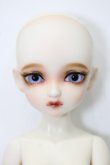 画像1: bunny bunny／Maple C Doll／35cm ホワイトスキン S-24-08-04-271-GN-ZS (1)