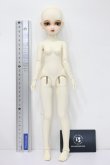 画像4: bunny bunny／Maple C Doll／35cm ホワイトスキン S-24-08-04-271-GN-ZS (4)
