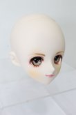 画像2: DD/DDH-02カスタムヘッド S-25-04-27-329-YB-ZS (2)