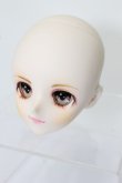 画像3: DD/DDH-02カスタムヘッド S-25-04-27-329-YB-ZS (3)