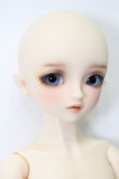 画像3: SDMBOY/コーディネ-トモデルF-58：里限定 S-24-03-17-356-KD-ZS (3)