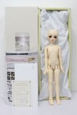 画像4: SDMBOY/コーディネ-トモデルF-58：里限定 S-24-05-12-346-KD-ZS (4)