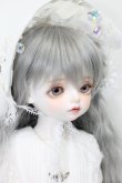 画像3: Blue Fairy X Rosen lied/Limited Bonbon S-23-10-25-358-GN-ZS (3)