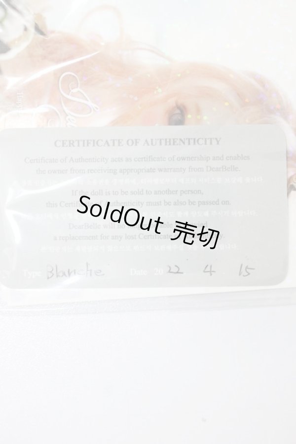 画像10: dearbelle/blanche S-23-10-25-360-NY-ZS (10)