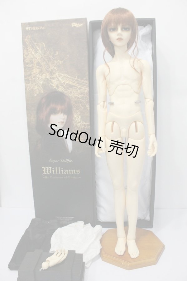 画像3: SD17BOY/ウィリアムズ-the Darkness of Ensign- S-24-06-16-248-YB-ZS (3)