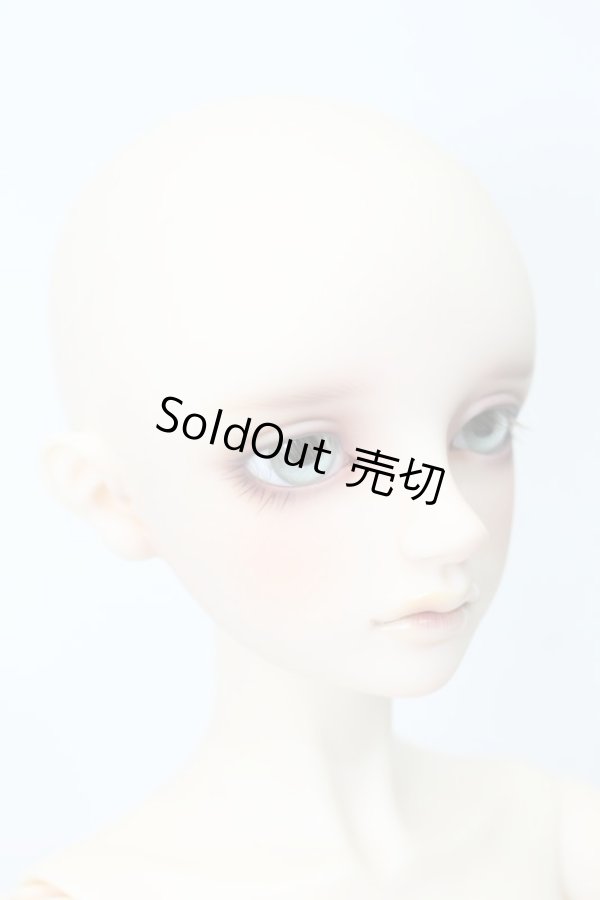 画像4: SDBOY/リゲル 星間学寮Ver.(ドルパ47版) S-23-11-01-009-GN-ZS (4)