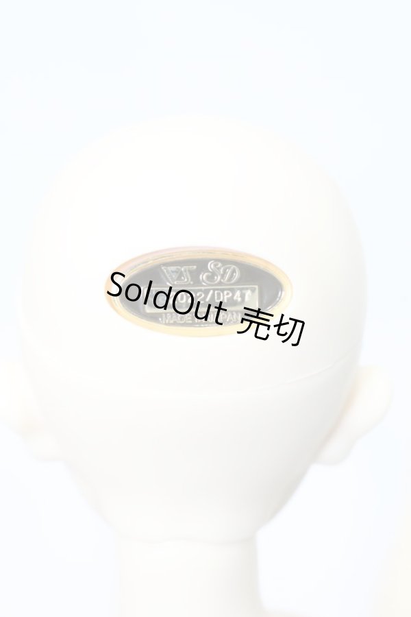 画像7: SDBOY/リゲル 星間学寮Ver.(ドルパ47版) S-23-11-01-009-GN-ZS (7)