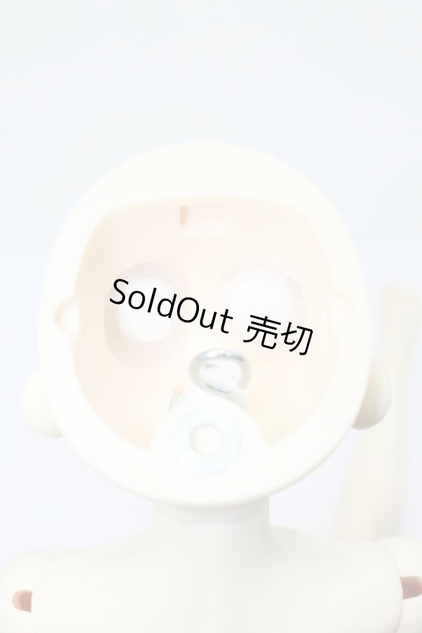 画像8: SDBOY/リゲル 星間学寮Ver.(ドルパ47版) S-23-11-01-009-GN-ZS (8)