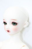 画像3: SD女の子/リーゼロッテ Galerie de l'esprit 2021 秋冬Ver. S-24-06-16-252-GN-ZS (3)