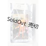 画像: ワンダーフロッグ/フォーチュンワンダ:アミュー・シオン S-25-06-29-724-KD-ZS