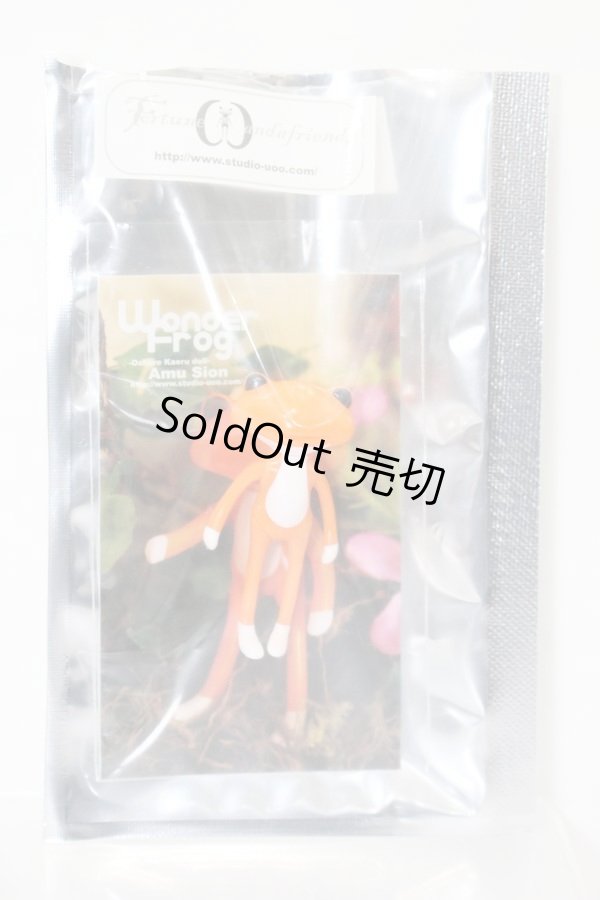 画像1: ワンダーフロッグ/フォーチュンワンダ：アミュー・シオン S-25-06-29-724-KD-ZS (1)