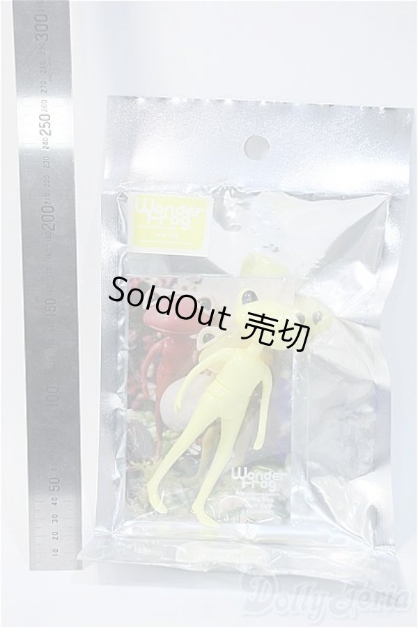 画像3: ワンダーフロッグ/ニール・エッグ(Neal Egg) Y-25-02-05-084-TN-ZY (3)