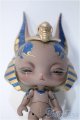 画像: Black Box/Anubis Sleeping Type Y-24-12-11-177-YB-ZY