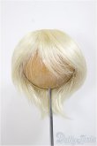 画像1: 9〜10inchウィッグ/ミディアム/インチ　BJD　MJD　ドール用 A-25-08-13-400-YB-ZA (1)