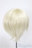 画像2: 9〜10inchウィッグ/ミディアム/インチ　BJD　MJD　ドール用 A-25-08-13-400-YB-ZA (2)