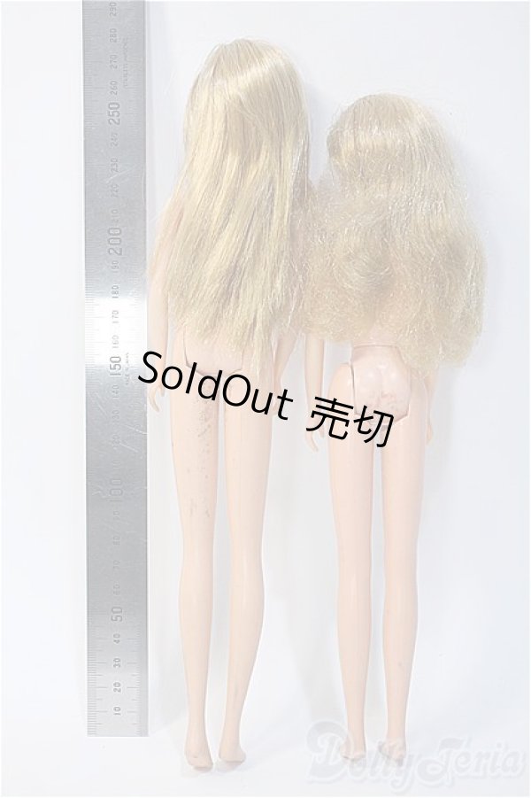 画像3: ジェニー/本体 2体セット Y-25-03-05-001-YB-ZY (3)