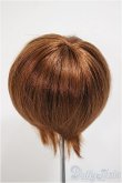 画像2: 8〜9inchウィッグ/ショートボブ/インチ　BJD　MJD　ドール用 A-25-08-13-366-YB-ZA (2)