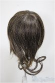 画像2: 9〜10inchウィッグ/ビーズ付きロング/インチ　BJD　MJD　ドール用 A-25-08-13-399-YB-ZA (2)