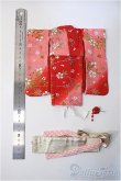 画像2: その他22〜24cmサイズ/衣装セット(振り袖) Y-25-03-12-034-TN-ZY (2)