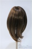 画像2: 9〜10inchウィッグ/ロング(ボークス製/W-102) Y-24-12-25-118-TN-ZY (2)