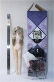 画像3: Black Raven/ルルナ：Preface(プレフィス/二次生産分) Y-24-11-16-261-TN-ZY (3)